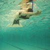 Entrainement piscine
